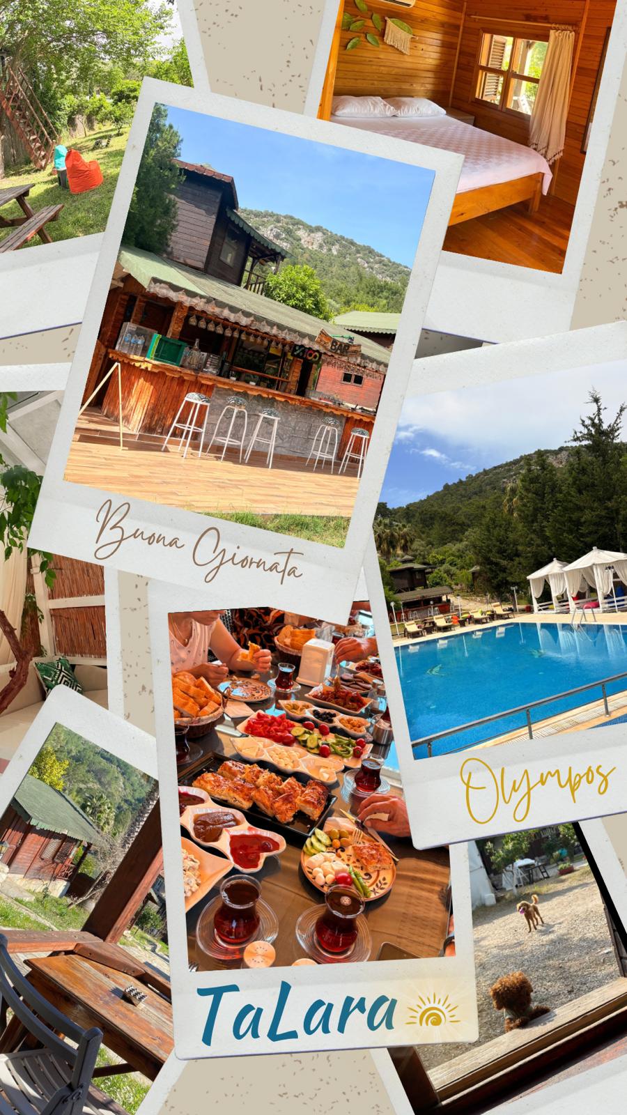 Galeri Fotoğrafı 2