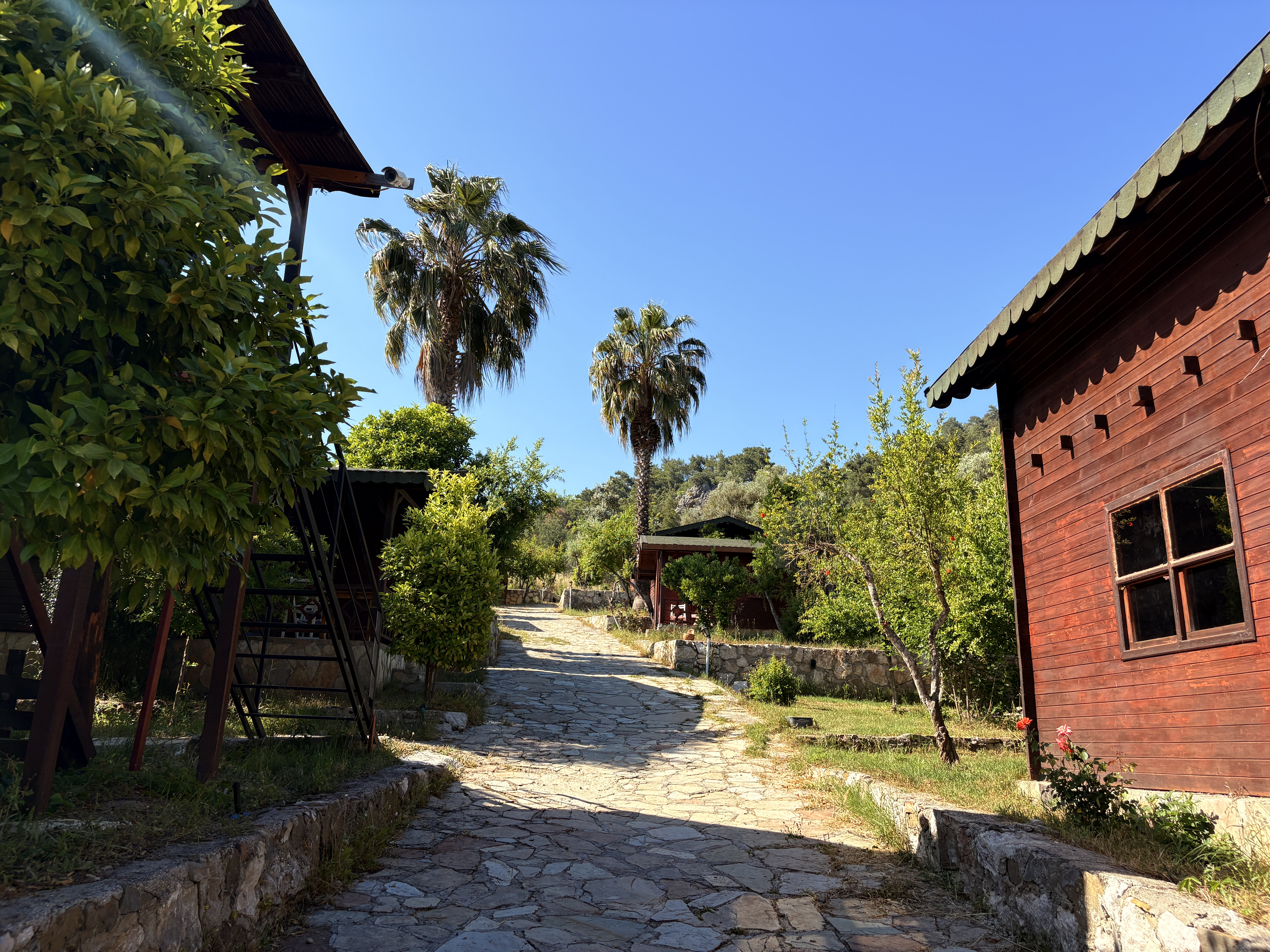 Galeri Fotoğrafı 7